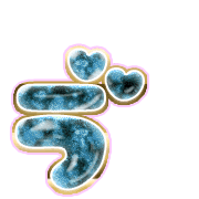 267