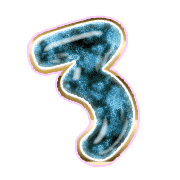 283