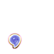 245