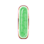 242
