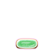 250