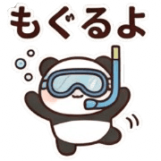 008