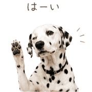 006