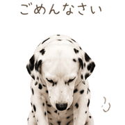 008