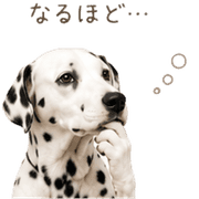 018