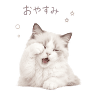 002