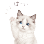 007