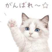 020