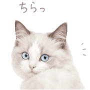 023