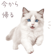 027