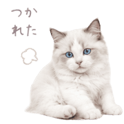 029