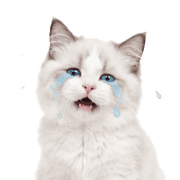 040