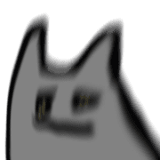 019