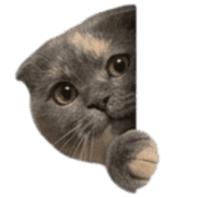 040