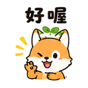 豆芽狐｜早晨問候 – LINE表情貼 預覽 6