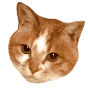 036