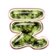 004