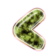 008