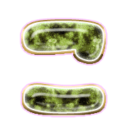010