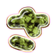 011