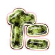 016