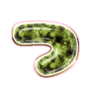 018