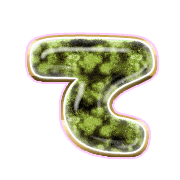 019