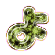 038