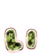 048