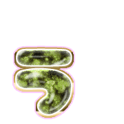 049