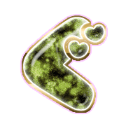 058