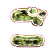 060