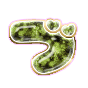 068