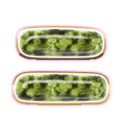 102