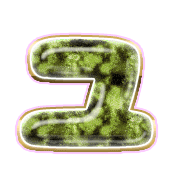 117