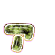 127