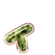 128