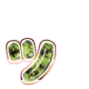 132