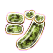 142