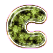 164