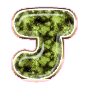 171