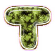 181