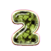 215