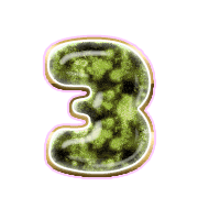 216