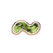 224