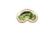 231