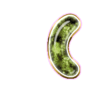 234