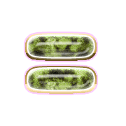 239