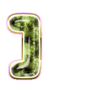 241