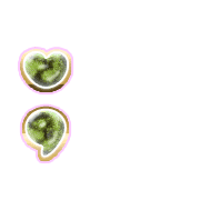 243